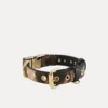 Dog Collar